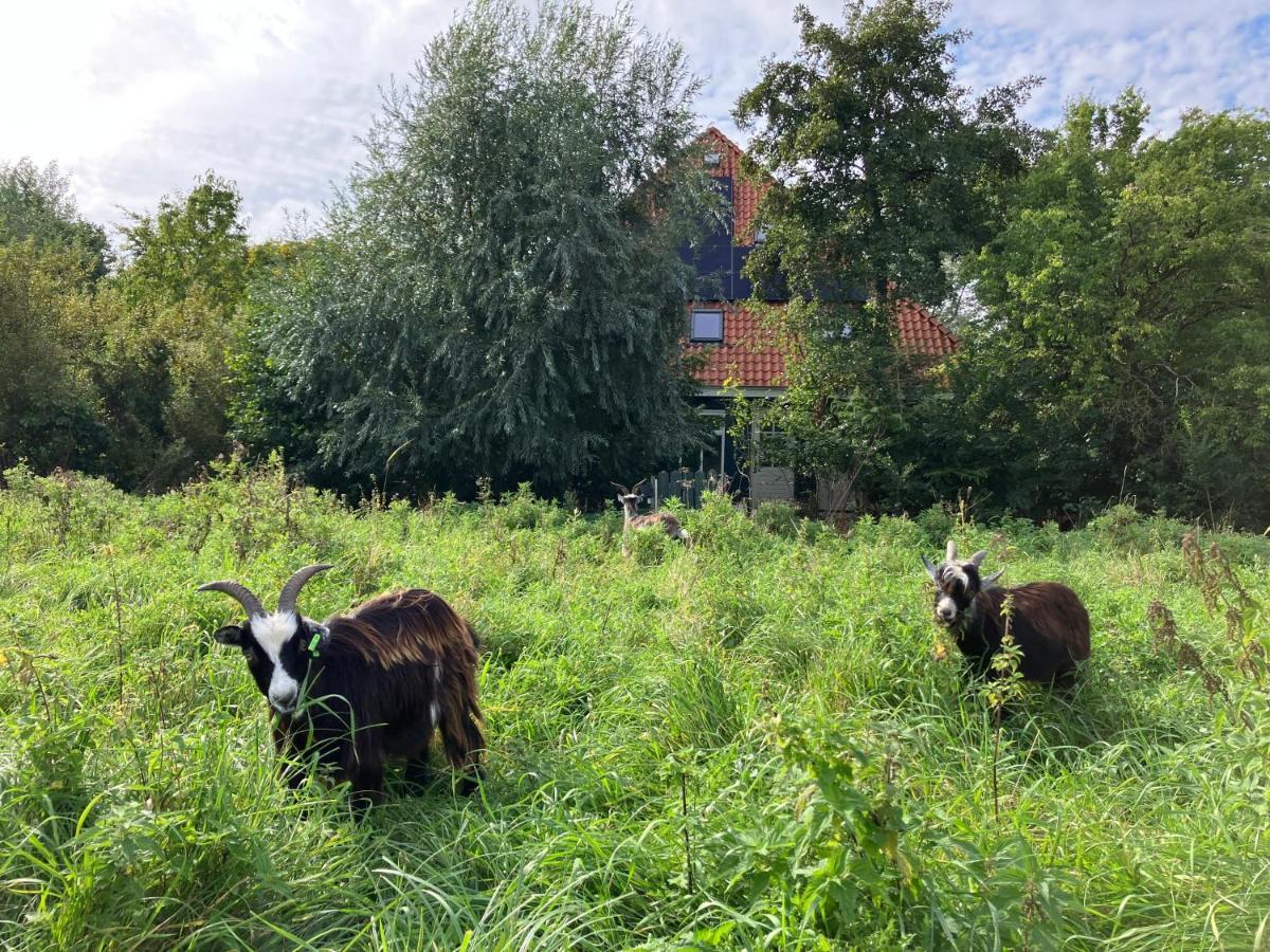 Inn Het Nest Amsterdam Dış mekan fotoğraf